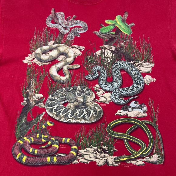 Vtg AOP 1998 Anvil Snakes Graphic T-Shirt XL Red Nature Reptile Printed Image - Picture 2 of 9